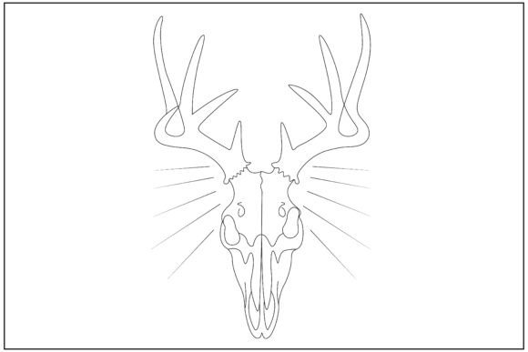Western Desert Skull Line Art: A Versatile Design
